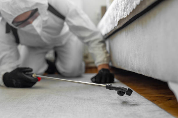 Professional Termite Control technician working in Henry, IL