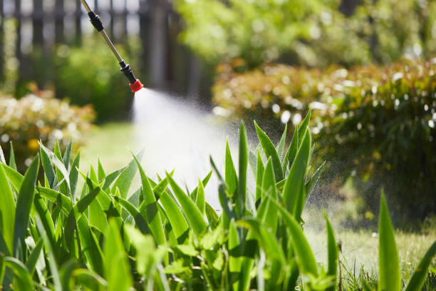 24/7 Emergency Termite Control experts in Henry, IL